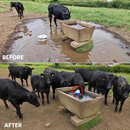 AquaGuard™ — Eliminate Water Waste on Your Farm